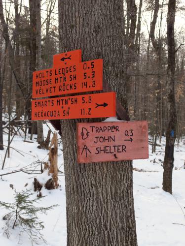 trail junction signs in January at Bear Hill in southwestern New Hampshire