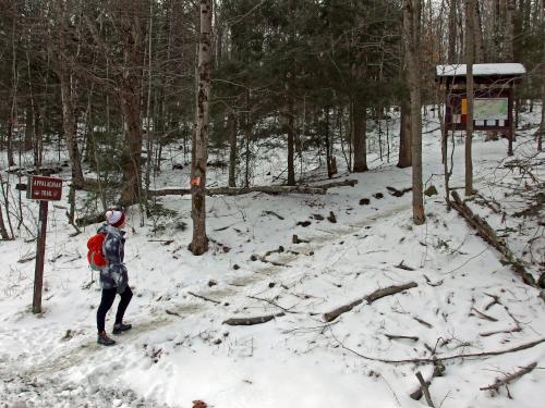 xxx in January at Bear Hill in southwestern New Hampshire