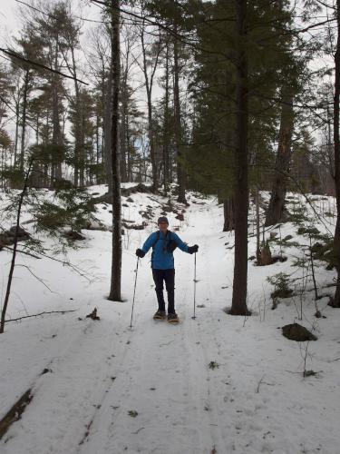 trail in March at Bell Ledges in southern New Hampshire