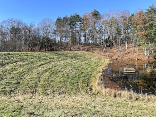 dam in November at Berlin Meadows in eastern Massachusetts