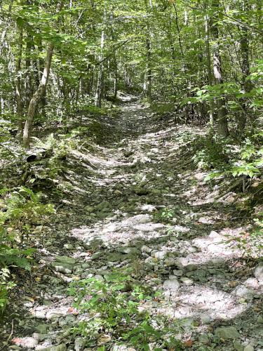 trail in September at Bird Mountain in southern Vermont