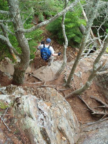 hiker on a steep section of the Algonquin Trail to Black Mountain in New Hampshire