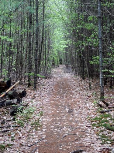 trail to Black Mountain in southern Vermont