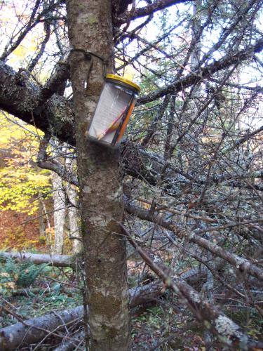 hiker register atop Black Hill near Stinson Lake in New Hampshire