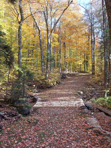 Three Ponds Trail at Black Hill near Stinson Lake in New Hampshire