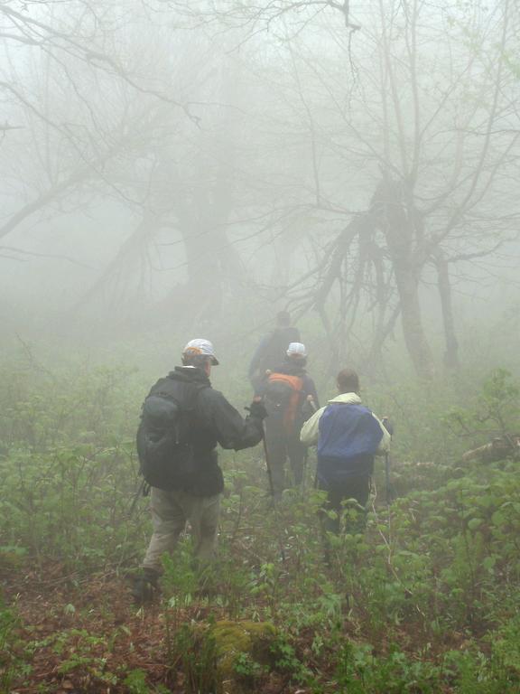 bushwhack hikers in the fog on Black Crescent Mountain in New Hampshire