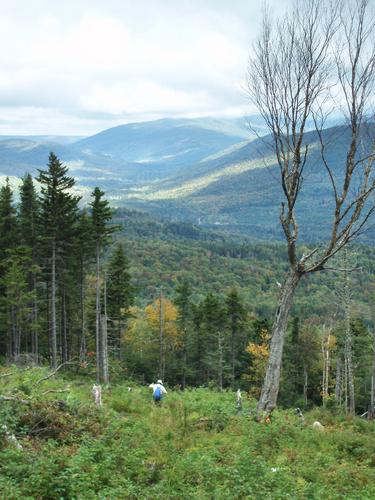 hiker on the way to Northwest Black Mountain in New Hampshire