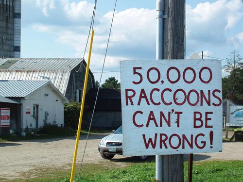 farmstand sign on the road to bushwhack North Blue Ridge in New Hampshire