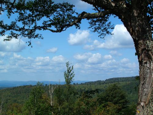 view in September on the bushwhack to North Blue Ridge in New Hampshire