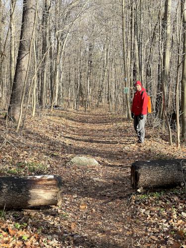 trail in December at The Boulders in western MA