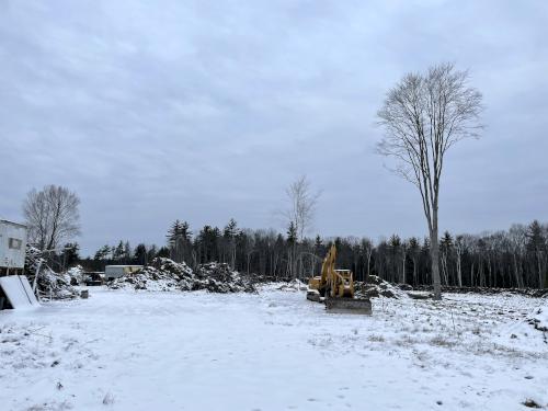 clear cut area in December beside the trail at Bow Woods near Bow in southern New Hampshire