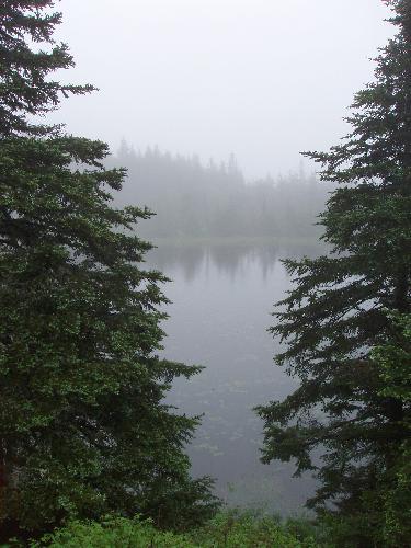 view of Skylight Pond from Skyline Lodge on Breadloaf Mountain in Vermont