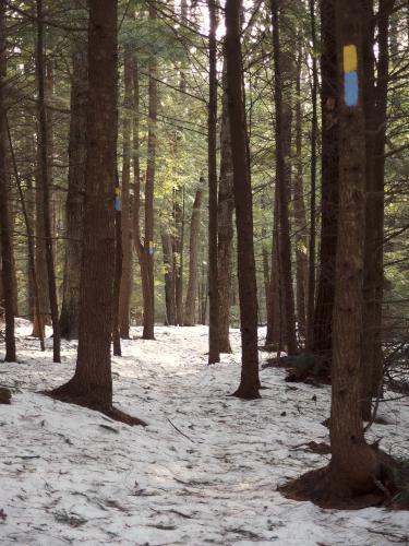 trail in January at Broken Ground near Concord in southern New Hampshire