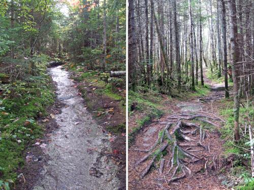 trail to Brousseau Mountain in northeast Vermont