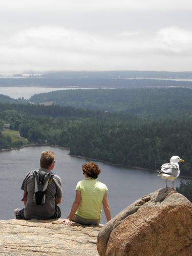 hikers atop South Bubble Mountain in Maine