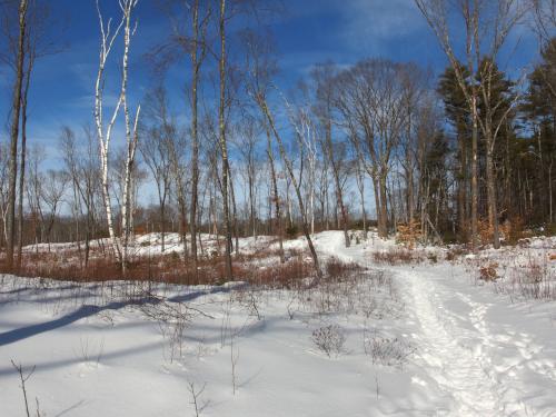 open woods in February at Bugsmouth Hill in southeastern New Hampshire