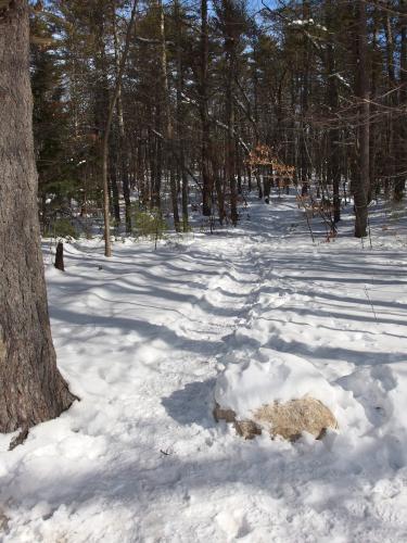 trail in February at Bugsmouth Hill in southeastern New Hampshire