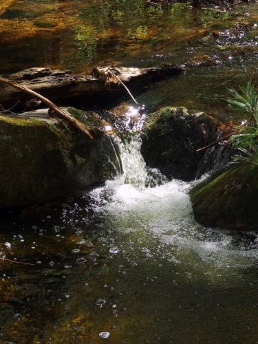 a calm little waterfall in May at Burns Hill in southern New Hampshire