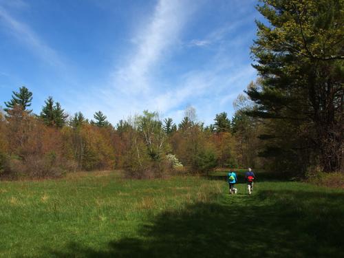 Kate and Dick head through a field in May at Burns Hill in southern New Hampshire