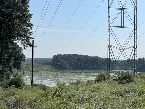 powerline swath in August on Burns Hill in northeast MA