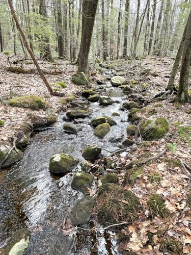 brook in March at Burns Farm in southern NH