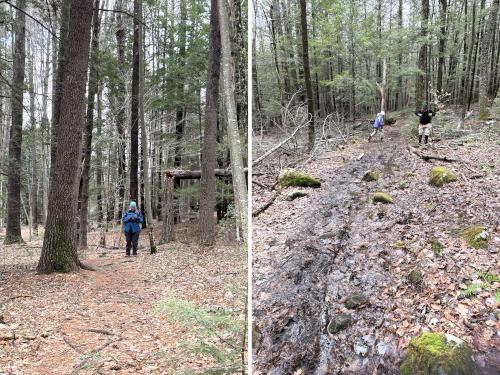 trails in March at Burns Farm in southern NH