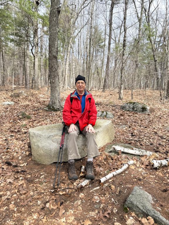 Fred in March on the Stone Sitting Spot in Calitri Conservation Area in southern NH