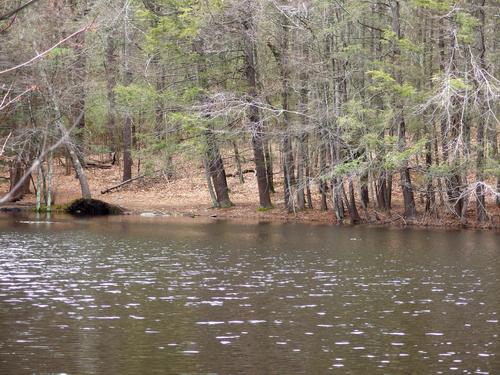 Beebe Pond at Callahan State Park in eastern Massachusetts