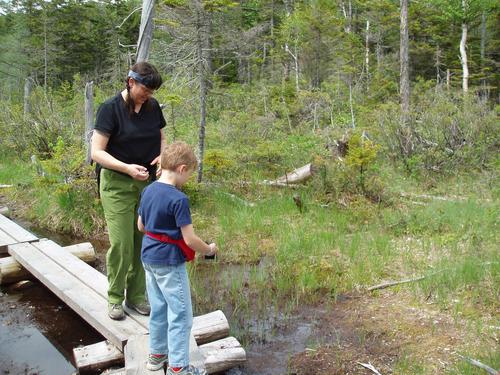 hikers on the Lonesome Lake Trail to Cannon Mountain in New Hampshire