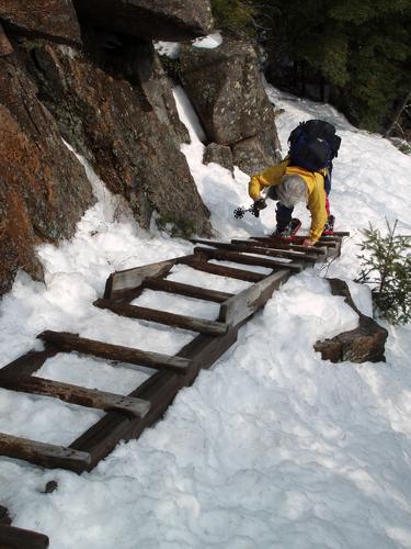 hiker on Hi-Cannon Trail ladder in New Hampshire