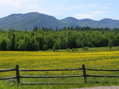 view of the Cannon Balls from Franconia, New Hampshire