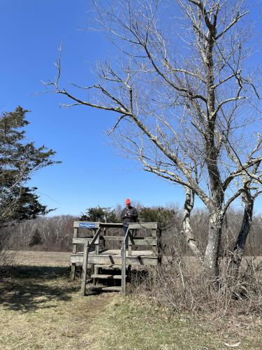 observation deck in March at Caratunk Wildlife Refuge in eastern Massachusetts