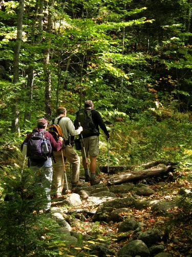 Mud Brook Trail to Caribou Mountain in Maine