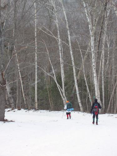 hikers on the trail to Middle Carter Mountain in New Hampshire