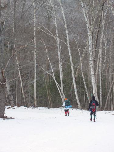 hikers on the trail to Middle Carter Mountain in New Hampshire