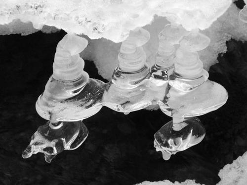 ice formations in 19-Mile Brook on the way to Carter Mountain in New Hampshire