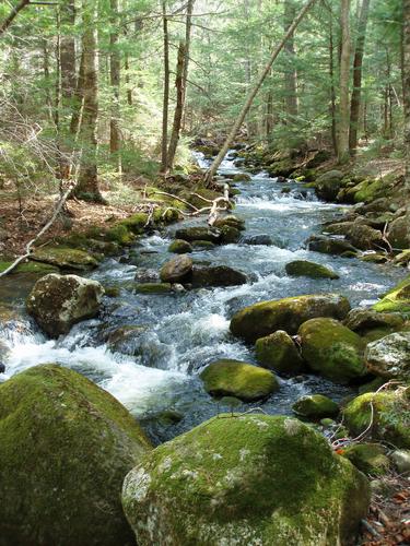 Imp Brook in New Hampshire