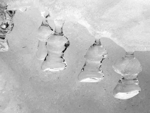 ice formations in 19-Mile Brook on the way to Carter Mountain in New Hampshire