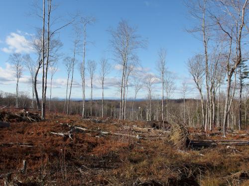 view west in November from Carter Forest near Dublin in southern NH