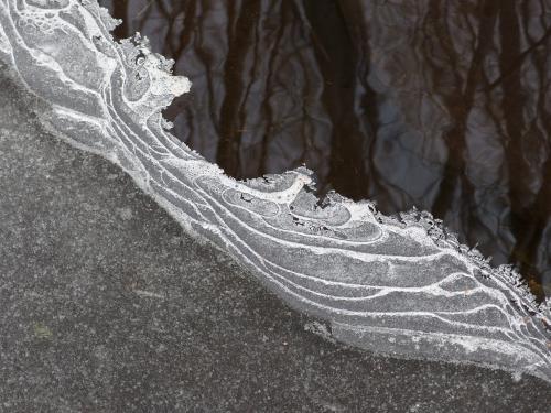 stream-edge ice artwork in January at Champlin Forest near Rochester in southeastern New Hampshire