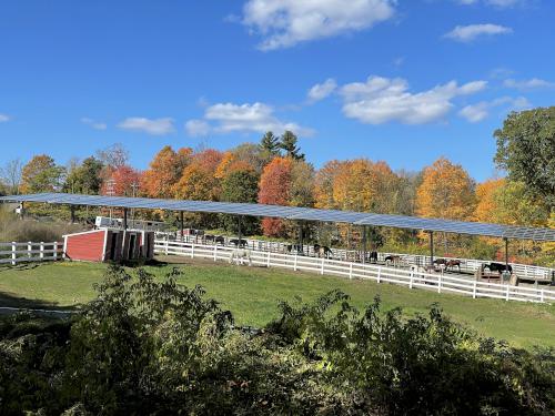 horse farm in October beside the Upper Charles Rail Trail near Milford in eastern Massachusetts