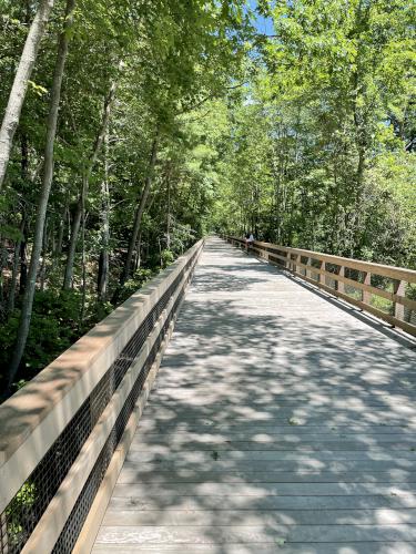 Marsh Trail in June near Clipper City Trail in northeast Massachusetts