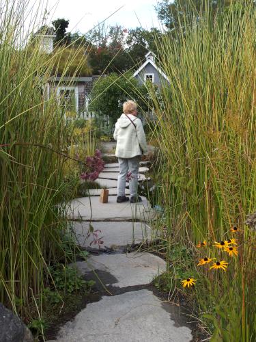 pond path in September at Coastal Maine Botanical Gardens