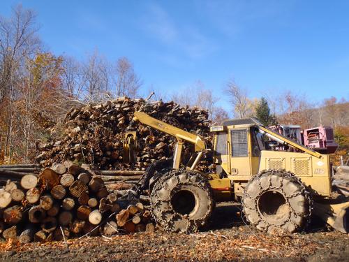 active lumbering on Cold Hollow Mountain in Vermont