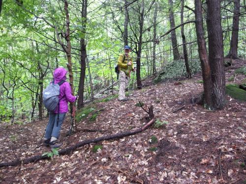 Andee and Dick bushwhack up to Cooper Hill near Marlborough in southwestern New Hampshire