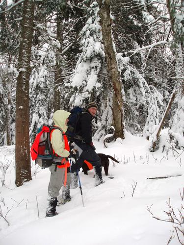 hikers on the way to Corporation Mountain in Vermont