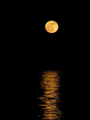 moonrise over Lake Massabesic in New Hampshire