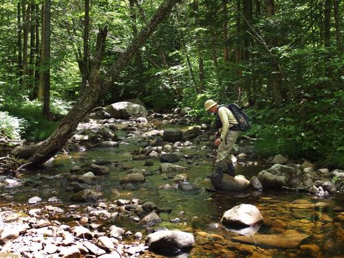 Dick crosses Neville Brook on the way to Cow Mountain in northern New Hampshire