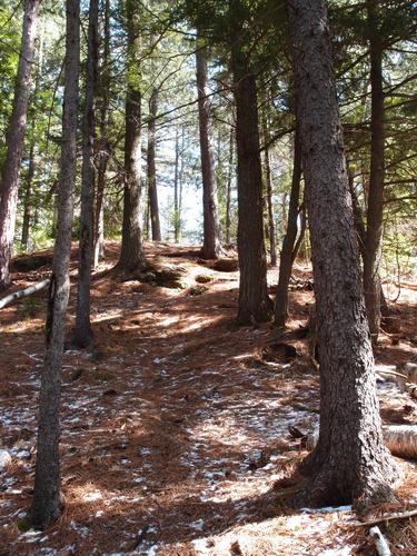 trail to Mount Crag in New Hampshire