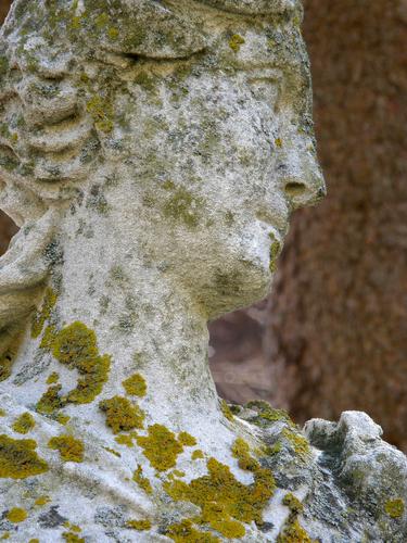 weathered statue with lichen at Crane Beach in Massachusetts